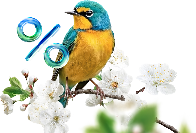 Запустите сайт со скидкой до 20%